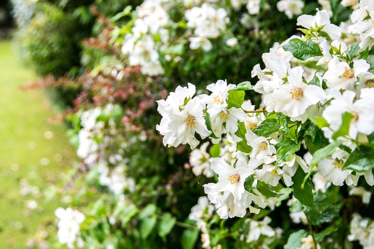 Beechwood Close 요크 외부 사진